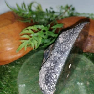 Natural Geode Agate with Quartz - Amazing Collector's Piece Extra Quality