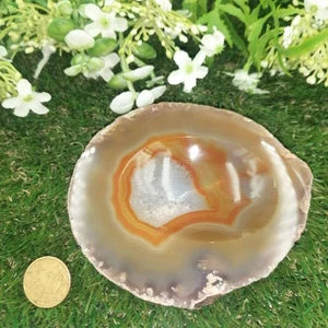 Natural Agate Ashtray Healing Crystal Zodiac Mineral Stone