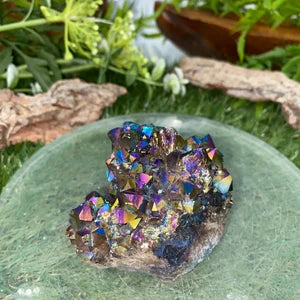 Cactus Amethyst Titanium - Aura Amethyst -Amazing Collector's Piece Extra Quality