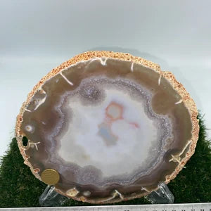 Natural Agate Slice Coaster, Agate Slice For Home Decoration, Bohemian Agate, Finding Coaster