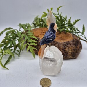 Sodalite Brazilian Parrot with Orange Agate Feathers on Quartz Point Base – Gemstone Bird Figurine, Crystal Animal Sculpture