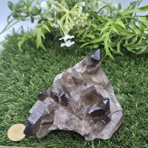 Raw Smoky Quartz Cluster • Natural Crystal Point • Healing Stone