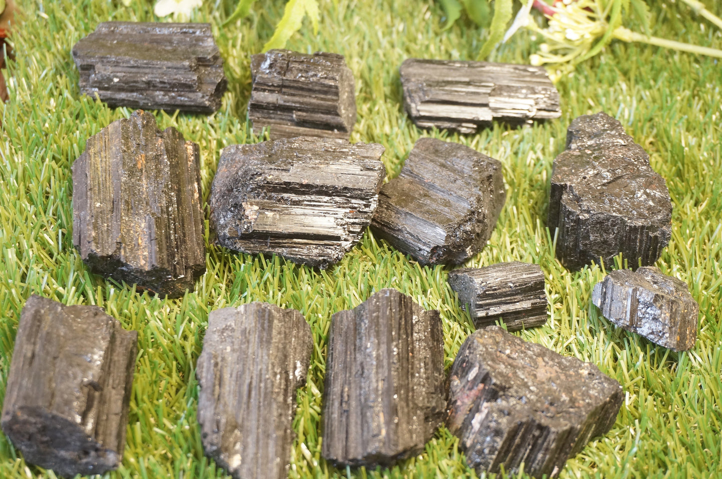 Natural Black Tourmaline shield rough crystal protection stone collection  healing