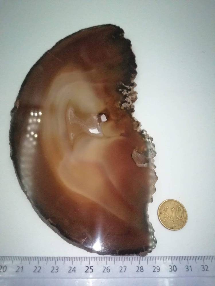 Agate Slices Coasters Size - Agate Coaster -High Quality from Brazil - Create Your Own Set - Mosaic Art Framing Home Decor Crafts