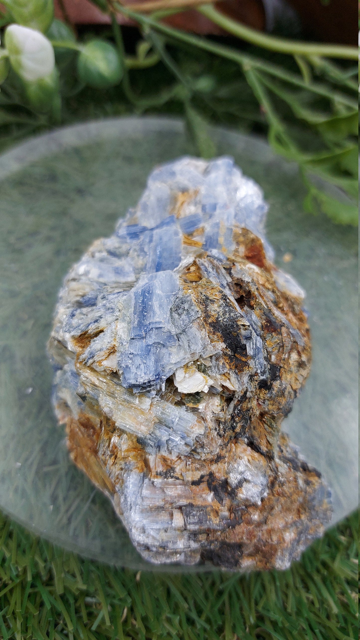 Collector's Piece - Rough Blue Kyanite & Biotite Mica for Healing