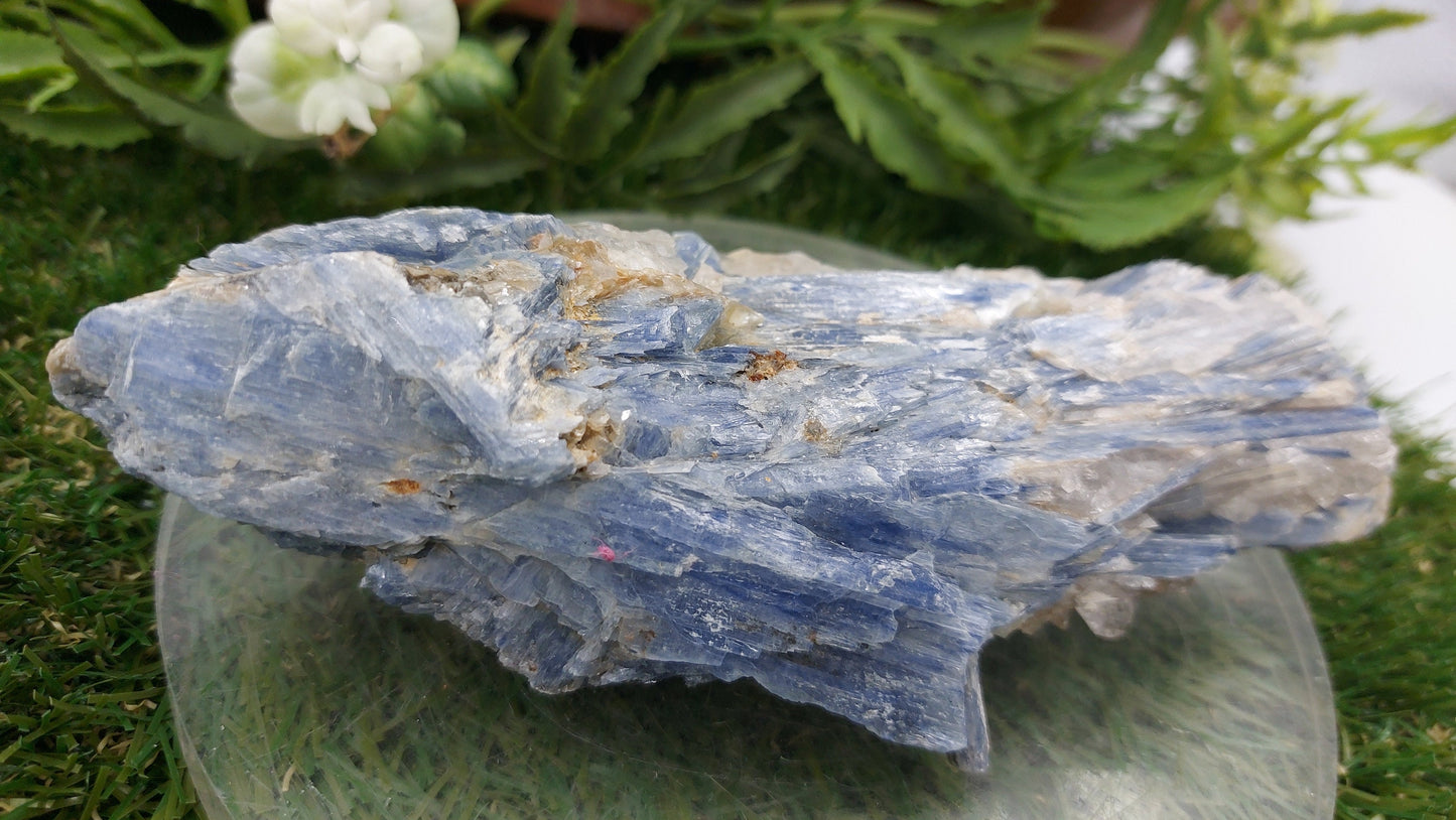 Natural Rough Blue Kyanite Piece - Home Decor