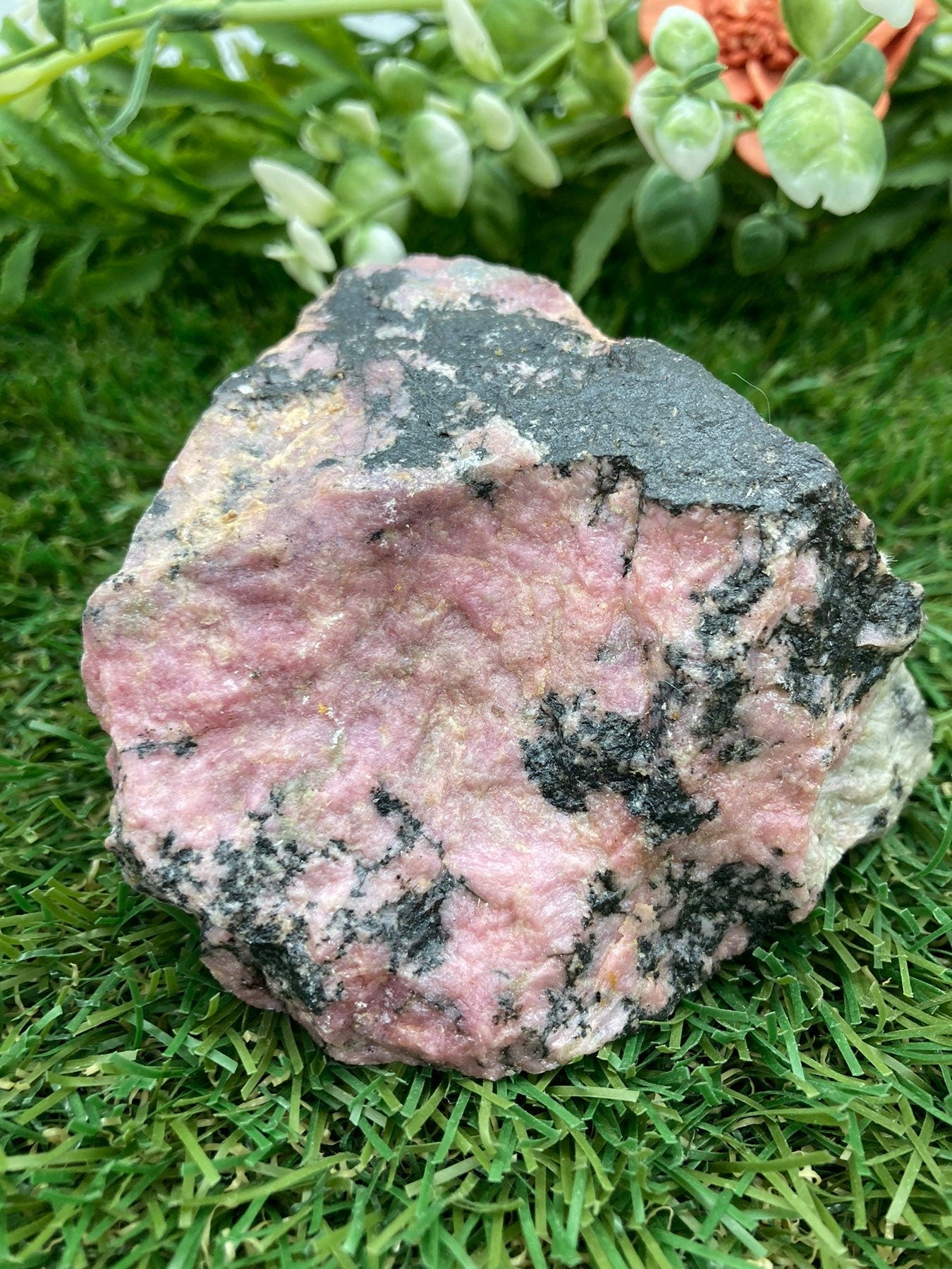 Rhodonite Natural Rough Crystal Mineral
