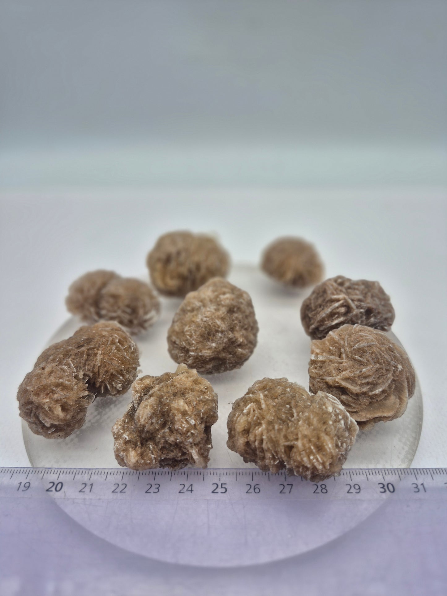 Desert Rose Selenite Crystal, Gypsum Crystal Mineral Specimen, Sand Rose Desert Stone for Clarity and Protection