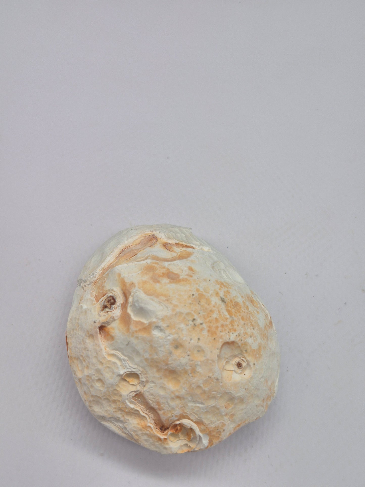 White Geody Agate with Cave - Healing and Protection Mineral Stone