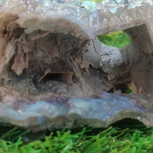 Aura Cactus Amethyst, Rainbow Amethyst, Aura Rainbow Crystal (Titanium oxidation) - Amazing Collector's Piece Extra Quality