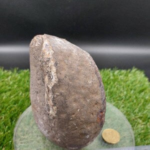 Natural Geode Agate with Quartz - Amazing Collector's Piece Extra Quality