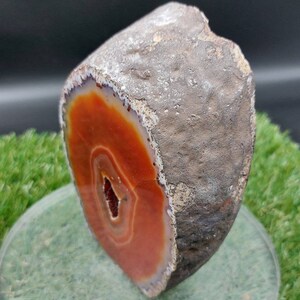Natural Geode Agate with Quartz - Amazing Collector's Piece Extra Quality