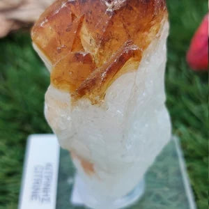 Natural Point Citrine - Extra Quality - Rough Mineral collection piece