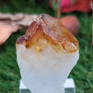 Natural Point Citrine - Extra Quality - Rough Mineral collection piece