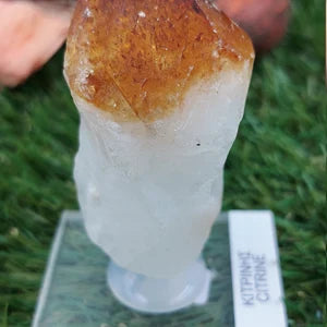 Natural Point Citrine - Extra Quality - Rough Mineral collection piece