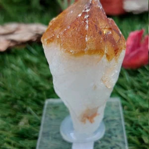 Natural Point Citrine - Extra Quality - Rough Mineral collection piece