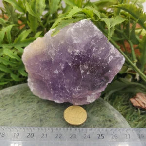 Rough Amethyst Mineral for Healing - Protection - Intuition
