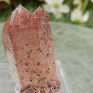 RARE Red Quartz Dendrites with Hematite Oxidation EST.1968 - FROM Reunion Orange River Namimbia