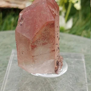 RARE Red Quartz Dendrites with Hematite Oxidation EST.1968 - FROM Reunion Orange River Namimbia