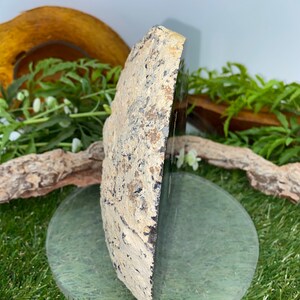 Natural Agate Stone - Amazing Collector's Piece - Home Decor