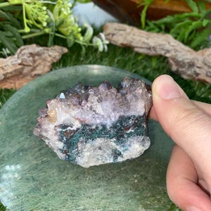 Cactus Amethyst Titanium - Aura Amethyst -Amazing Collector's Piece Extra Quality