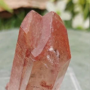 RARE Red Quartz Dendrites with Hematite Oxidation EST.1968 - FROM Reunion Orange River Namimbia