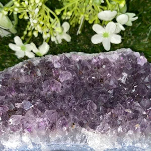 Collector's Amethyst Rough Mineral Crystal - Mineral Home Decor - Feng Shui Crystal - Protection - Meditation Stone