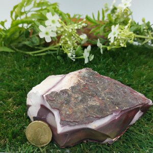 Australian Mookaite Jasper - Collector's Piece - Home Decor - Protection Crystal