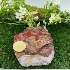 Australian Mookaite Jasper - Collector's Piece - Home Decor - Protection Crystal