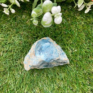 Blue Apatite Natural Crystal- Collection Specimen Mineral