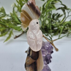 Rose Quartz Carved Bird on Amethyst Cluster – Vintage Gemstone Parrot Figurine with Agate Details