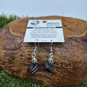 Raw Black Tourmaline Dangle Earrings, Black Protection Crystal Earrings for Women