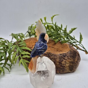 Sodalite Brazilian Parrot with Orange Agate Feathers on Quartz Point Base – Gemstone Bird Figurine, Crystal Animal Sculpture