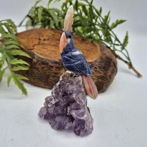 Sodalite Brazilian Bird with Orange Agate Feathers on Amethyst Cluster Base – Gemstone Bird Figurine, Crystal Animal Sculpture
