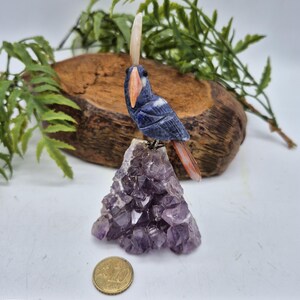 Sodalite Brazilian Bird with Orange Agate Feathers on Amethyst Cluster Base – Gemstone Bird Figurine, Crystal Animal Sculpture