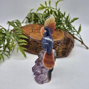 Sodalite Brazilian Bird with Orange Agate Feathers on Amethyst Cluster Base – Gemstone Bird Figurine, Crystal Animal Sculpture