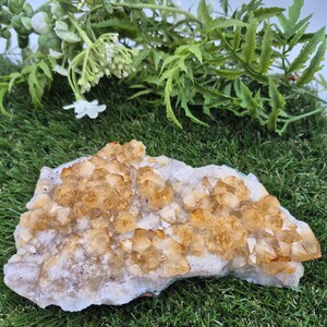Citrine Rough Crystal, Citrine Cluster, Rough Citrine Crystal, Geode Home Decor, Happiness Prosperity
