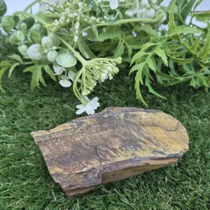 Rough Tiger Eye Specimen | Natural Brown Crystal | Unique Home Decor & Gift