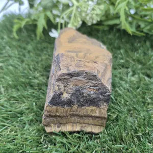 Rough Tiger Eye Specimen | Natural Brown Crystal | Unique Home Decor & Gift