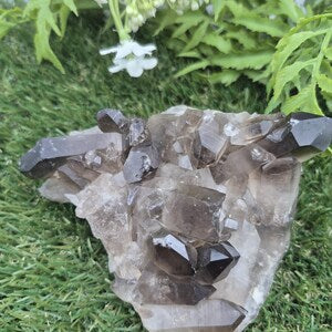 Raw Smoky Quartz Cluster • Natural Crystal Point • Healing Stone