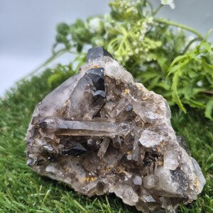 Raw Smoky Quartz Cluster • Natural Crystal Point • Healing Stone