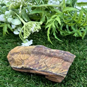 Rough Tiger Eye Specimen | Natural Brown Crystal | Unique Home Decor & Gift
