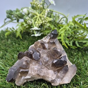 Raw Smoky Quartz Cluster • Natural Crystal Point • Healing Stone