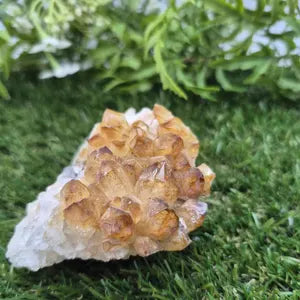 Raw Citrine Cluster - Natural Rough Yellow Crystal Specimen