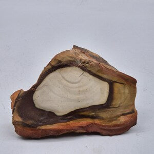 Natural Rough multi-color Jasper Piece