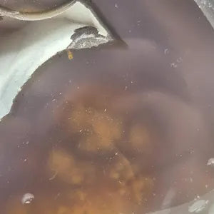 Moss Agate Boytroidal Crystal with Calcite Geode