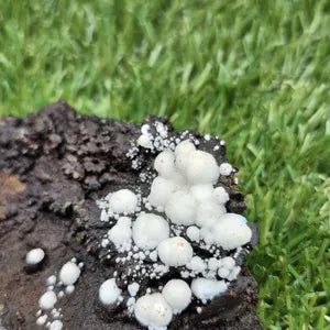 Siderite Calcite Rough Mineral Specimen – Raw Greek Crystal, Natural Collector’s Stone