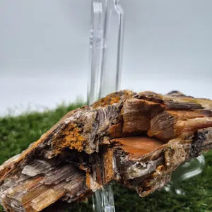 Selenite with Iron Oxidation – Raw Greek Crystal, Rare Mineral Specimen