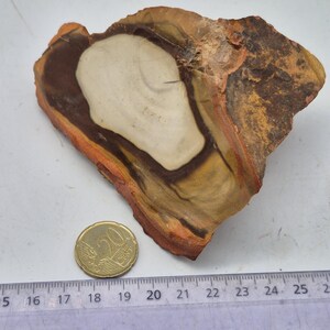 Natural Rough multi-color Jasper Piece