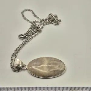 Moonstone Silver-Plated Necklace with Stainless Steel Chain